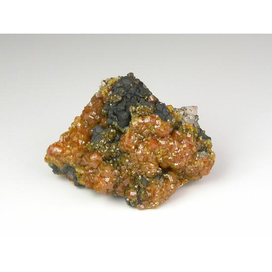 Campylite