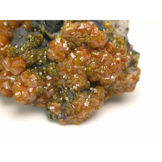 Campylite