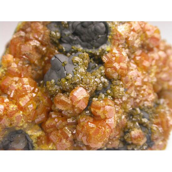 Campylite