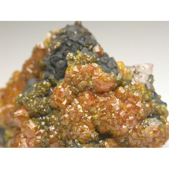 Campylite