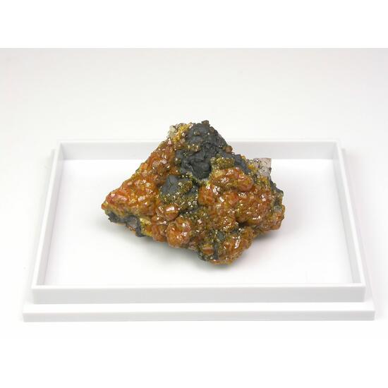 Campylite