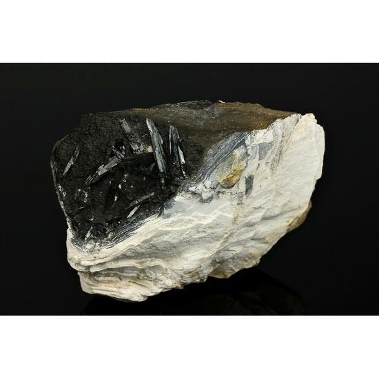 Vivianite With Fossil
