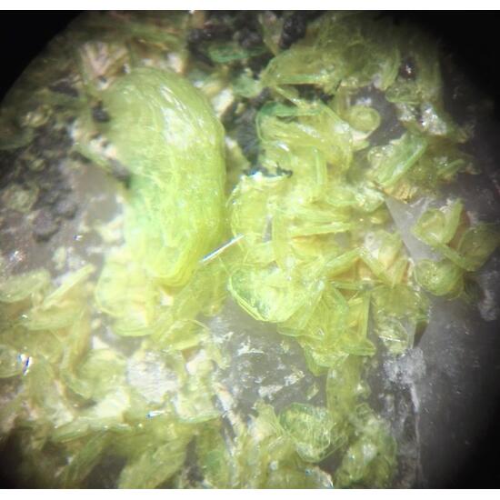 Autunite