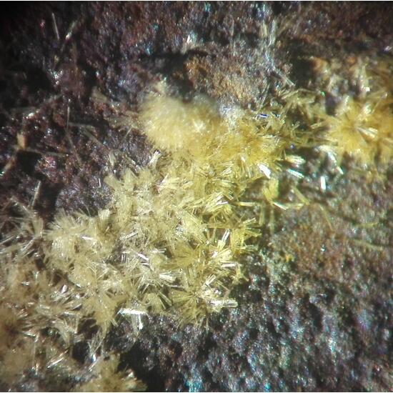 Wavellite