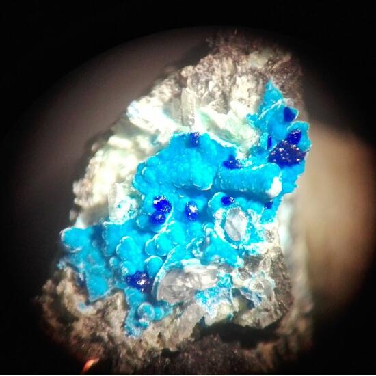 Carbonatecyanotrichite & Azurite