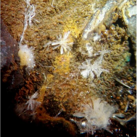 Wavellite