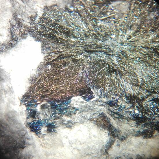 Robinsonite