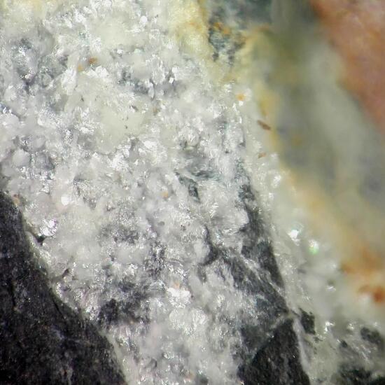 Montgomeryite