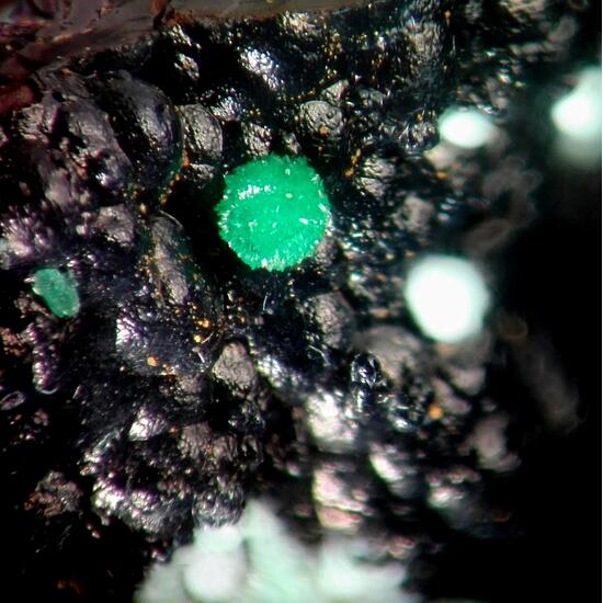 Philipsburgite