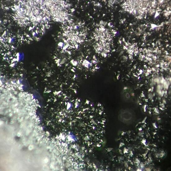 Hetaerolite