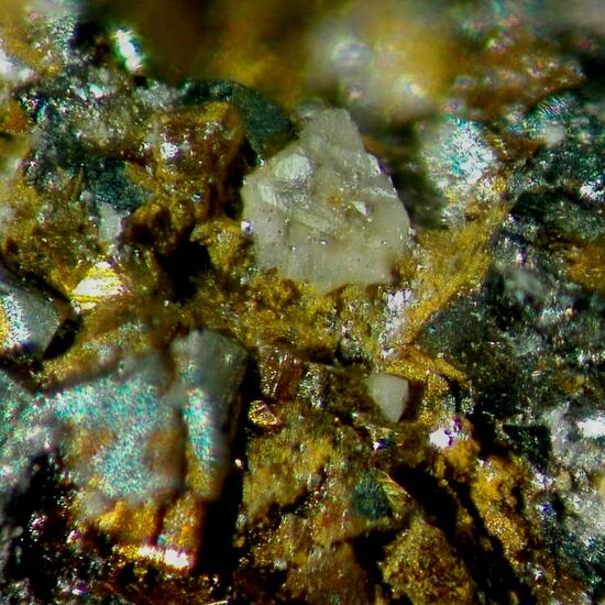 Chukhrovite-(Ca)