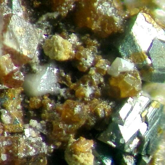 Chukhrovite-(Ca)