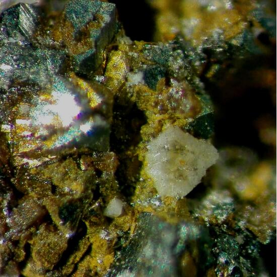 Chukhrovite-(Ca)