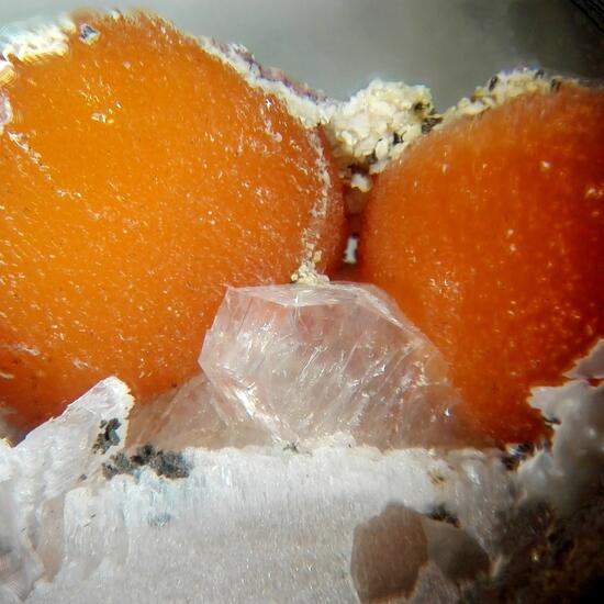 Ferrierite-Mg Palygorskite Heulandite