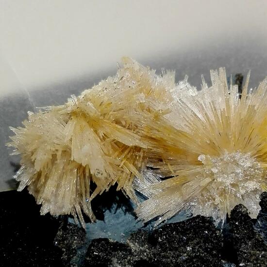 Aragonite