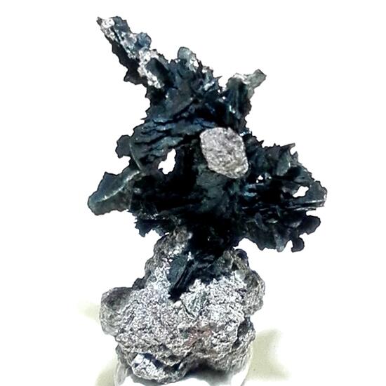 Tenorite