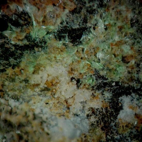 Creaseyite & Kentrolite