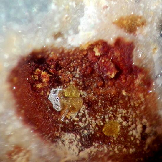 Iodargyrite & Olivenite