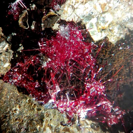 Cuprite Var Chalcotrichite