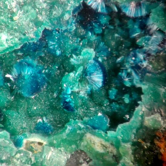 Connellite & Cornwallite