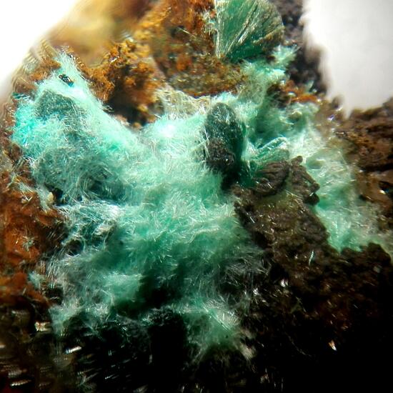 Agardite-(Y)