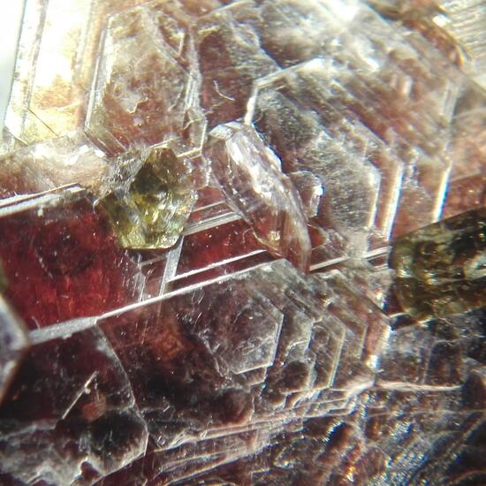 Fluorapatite & Muscovite