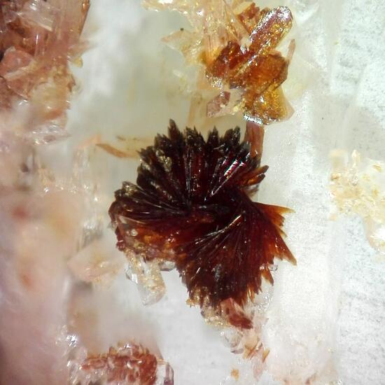 Hubeite & Inesite & Fluorapophyllite-(K)