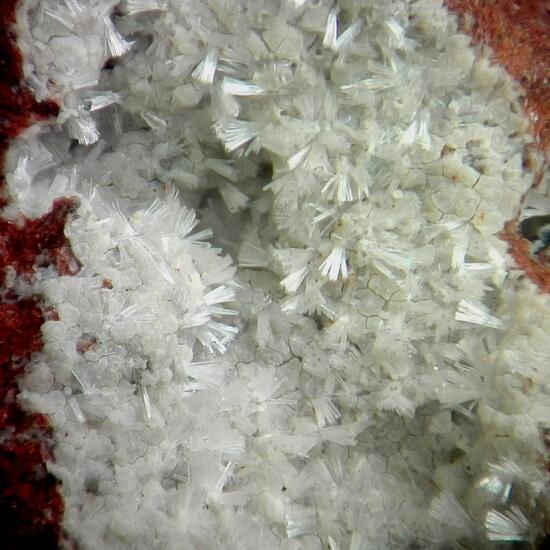 Erionite-Ca