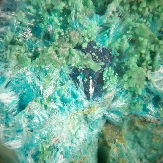 Guanacoite Arhbarite & Conichalcite