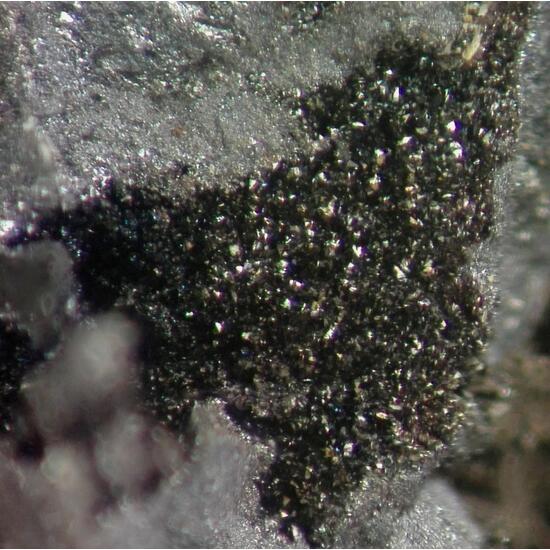 Hetaerolite