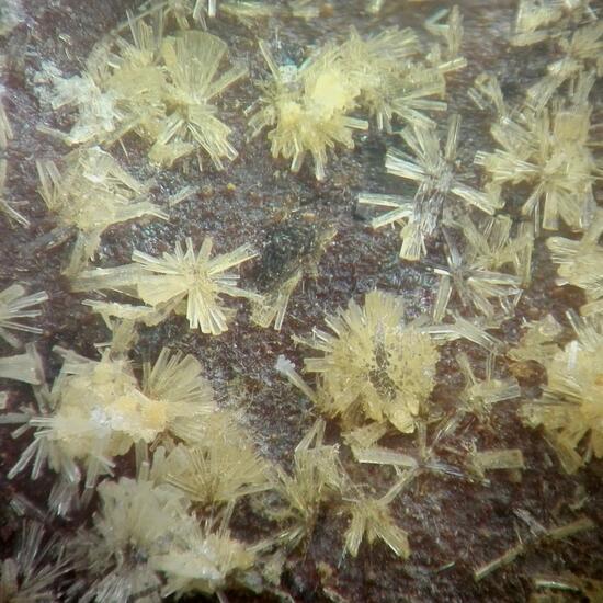 Wavellite