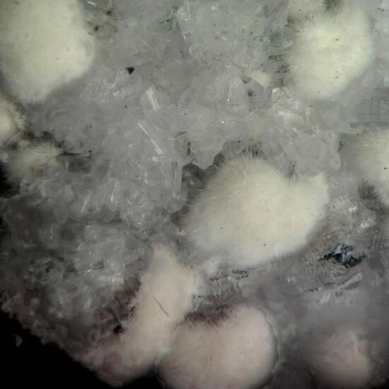 Mullite & Tridymite