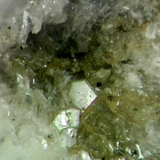 Rosiaite & Tripuhyite