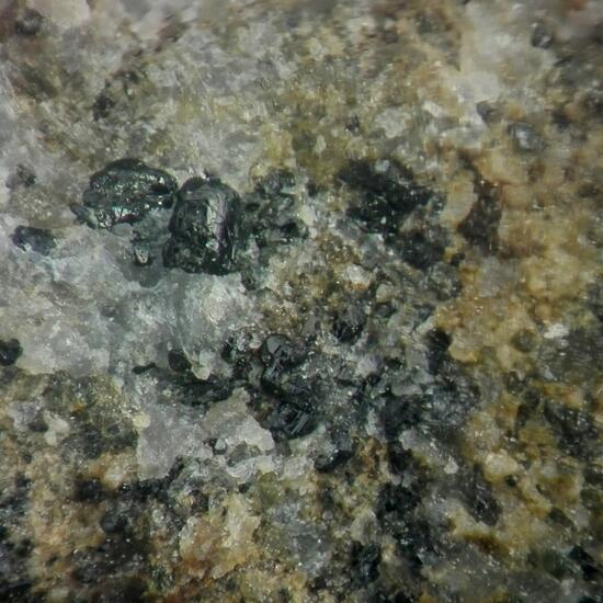 Potassic-ferro-pargasite