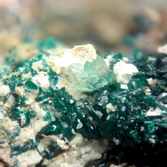 Leightonite & Paratacamite