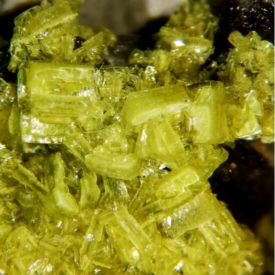 Autunite