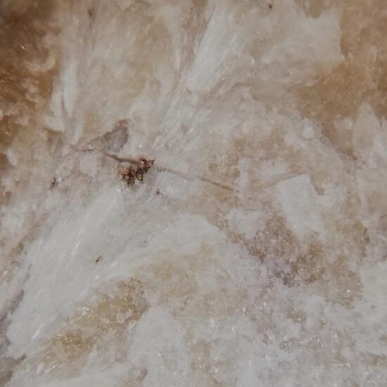 Spadaite
