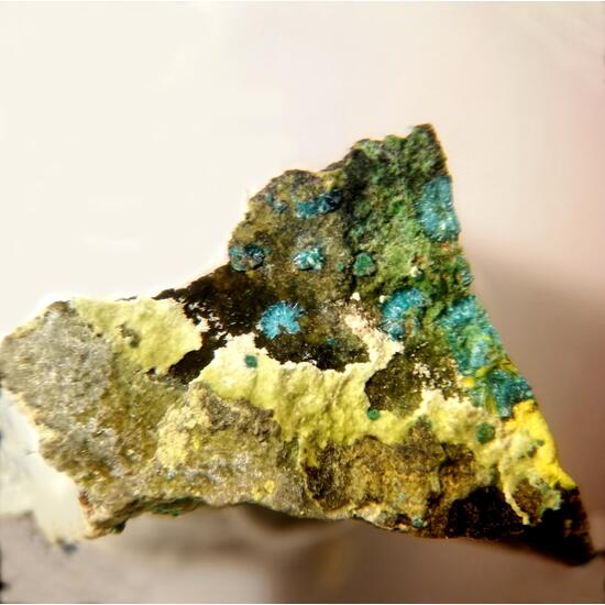 Astrocyanite-(Ce) & Kamotoite-(Y)