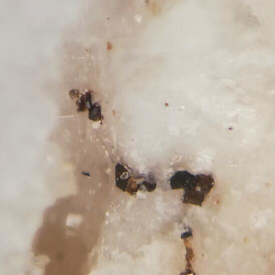 Hydroxycalciomicrolite