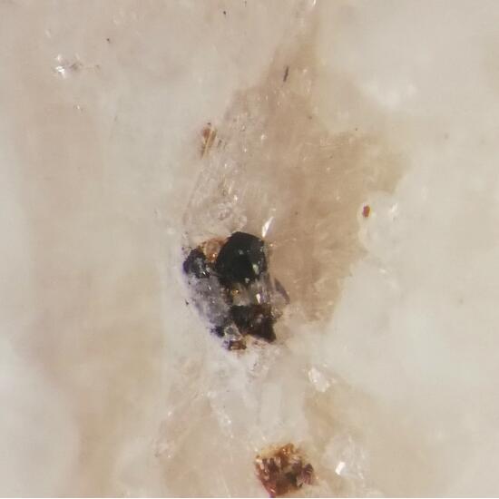 Hydroxycalciomicrolite