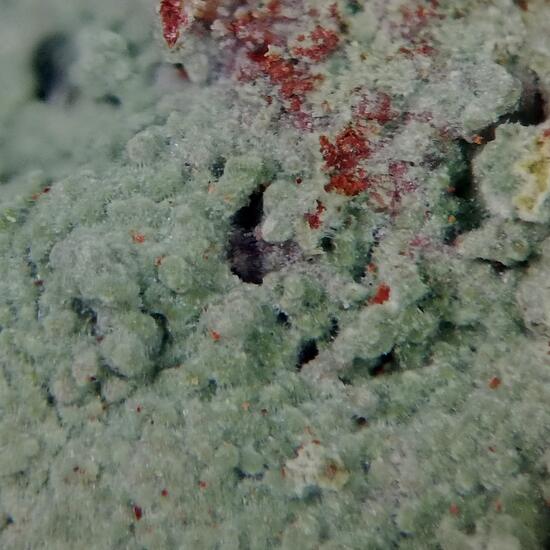 Glauconite On Jasper