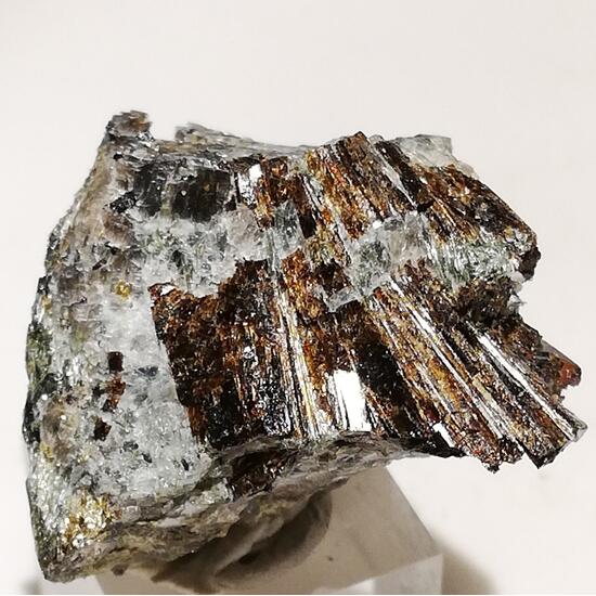 Lamprophyllite