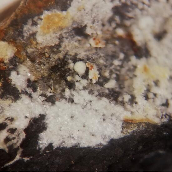 Montgomeryite