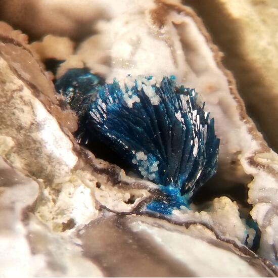 Veszelyite & Hemimorphite