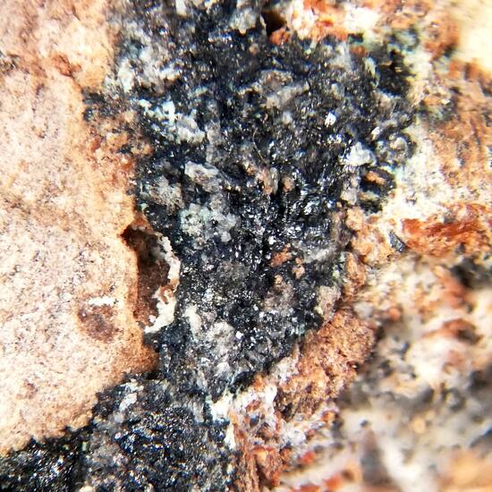 Umangite