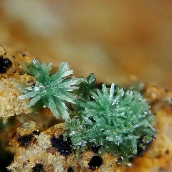 Olivenite