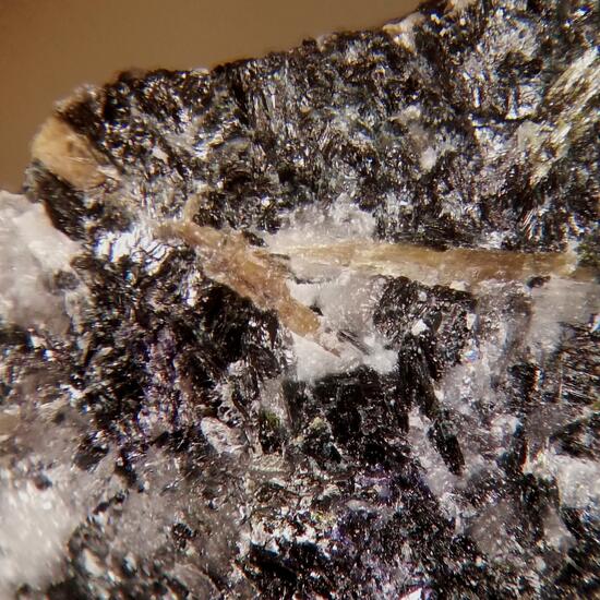 Rosenbuschite & Fluoro-leakeite