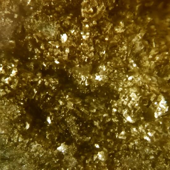 Chamosite