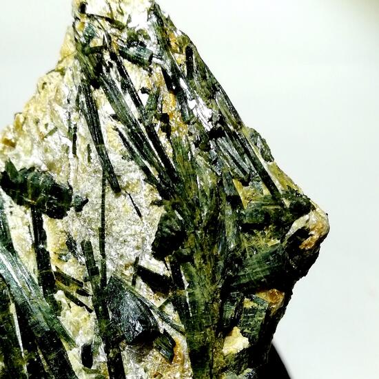 Actinolite