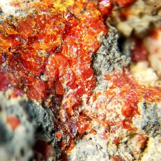 Picropharmacolite & Realgar